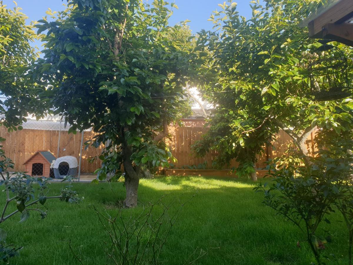 Bed N Breakfast On Pear Tree Lane Daire Hamilton Dış mekan fotoğraf